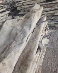 Dry Cow Hides - Image 2