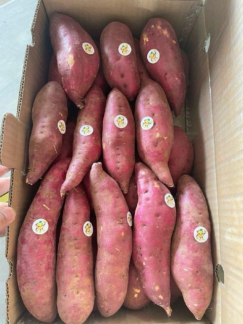 Sweet Potato Flavor Naturally Sweet Texture Smooth And Firm Harvesting Method Harvested At Peak Maturity Nutritional Content Rich In Vitamins, Minerals, And Dietary - Image 5