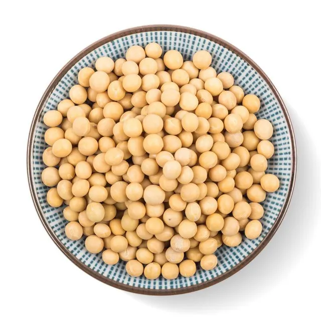 Soybean Wholesale - Image 2