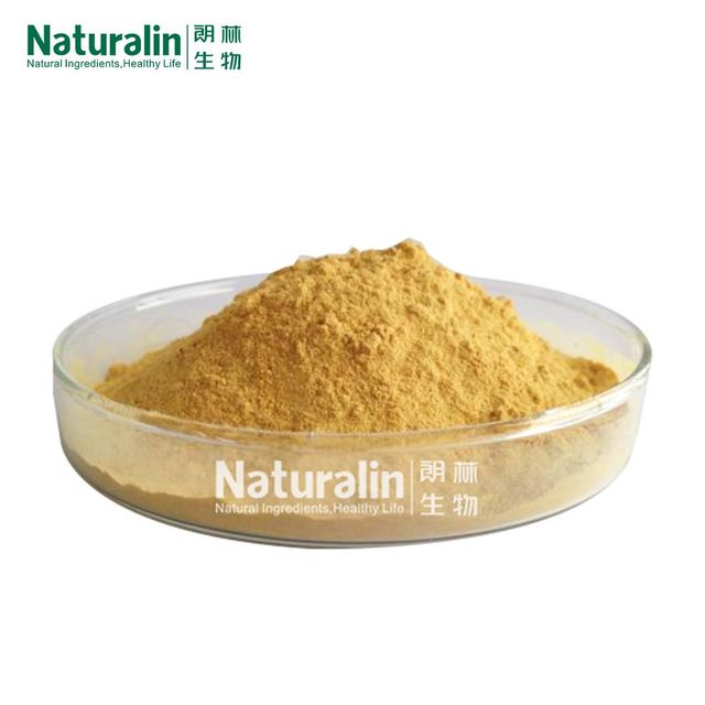 Milk Thistle Extract - Image 2