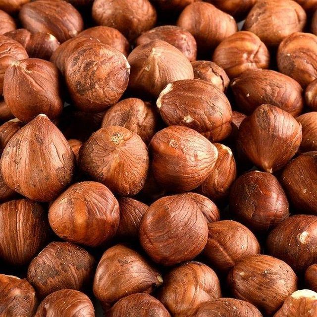 Natural Hazelnuts Nuts for Sale at Cheap Price Bulk Supply from Certified Reliable Global Food Exporters - Image 1