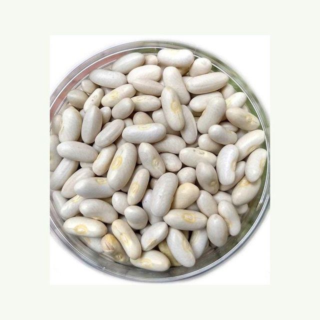 fresh whole white beans for cooking soups chili salads and traditional dishes natural beans rich in protein fiber vitamins and minerals ideal for healthy diets vegetarian recipes and everyday meal preparation - Image 4