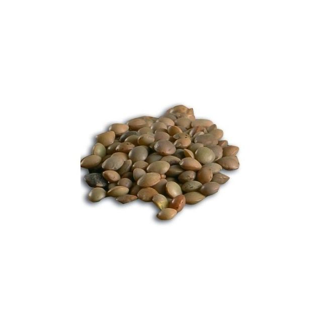 Best Quality Green Lentils | Red Lentils | Brown Lentils - Image 3
