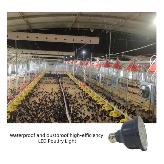 Waterproof and Dustproof High Efficiency LED Poultry Light for Chicken House - Image 1