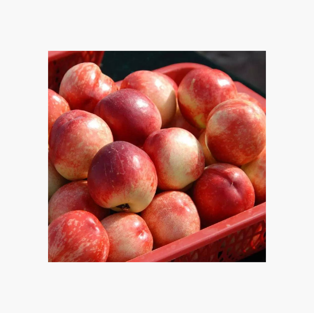 Fresh Peaches & nectarines Grade A Type PEACH Style Fresh Weight (kg) 18 Variety Nectarine Brand Name Custom Shelf Life 1 - Image 1