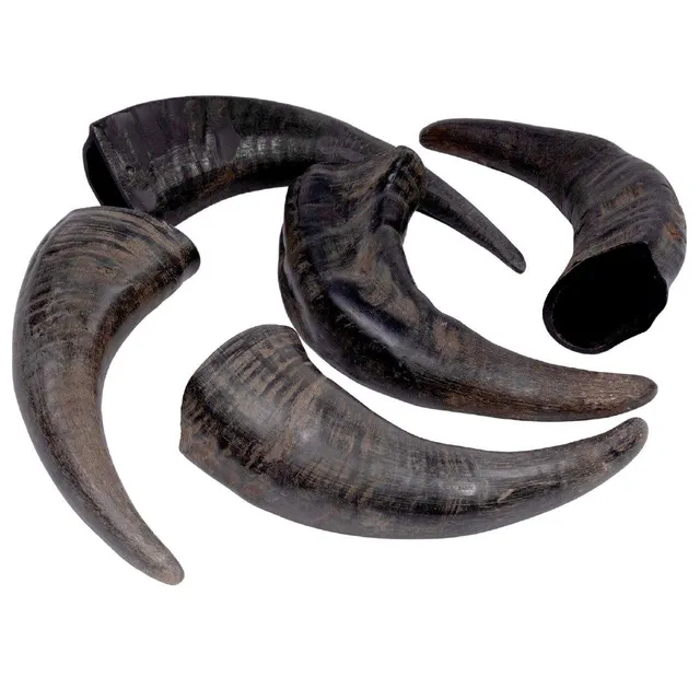 Horn Dog Chew - Image 1
