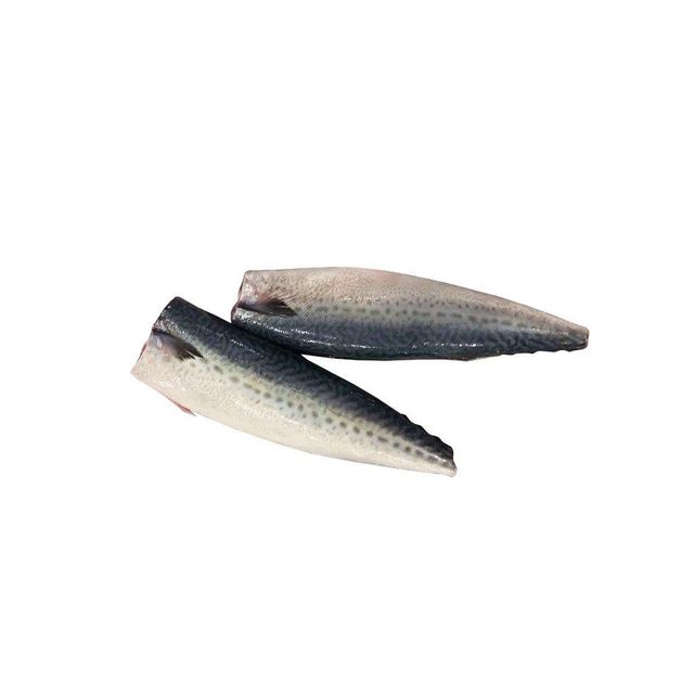 Frozen Mackerel Fish High Protein Seafood Choice With Uniform Sizing And Freshly Preserved Ocean Catch Quality - Image 4