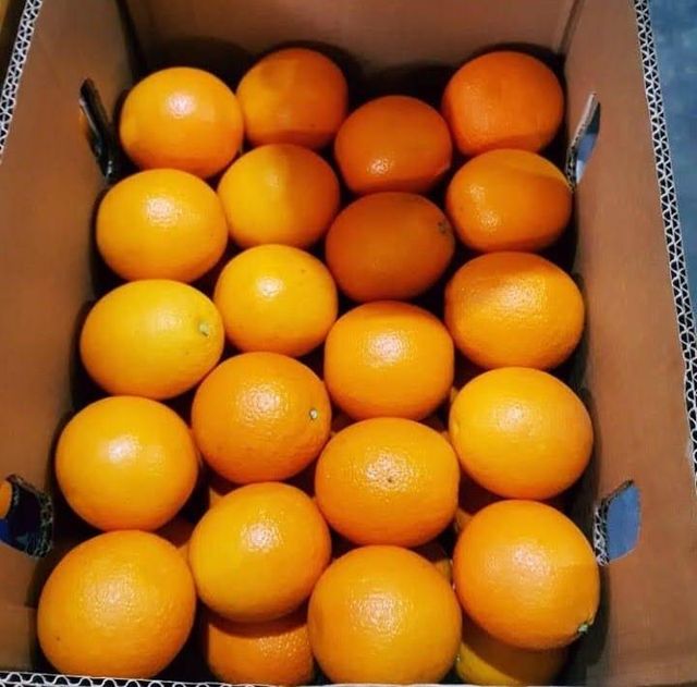 FRESH NAVEL AND VALENCIA ORANGES - Image 3