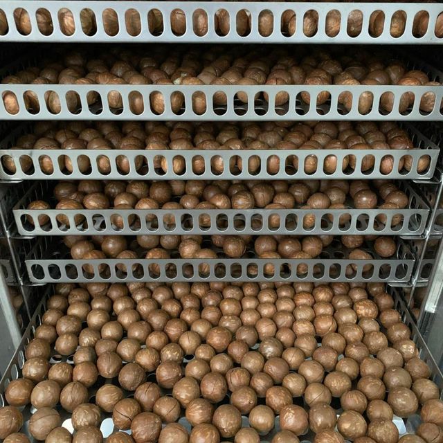 Raw Dried Macadamia Nuts Organic Macadamia Healthy Natural Snack Delicious Flavor Premium Bulk Packing - Image 3