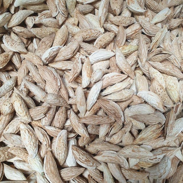 Soft shell almond satarbayiee - Image 1