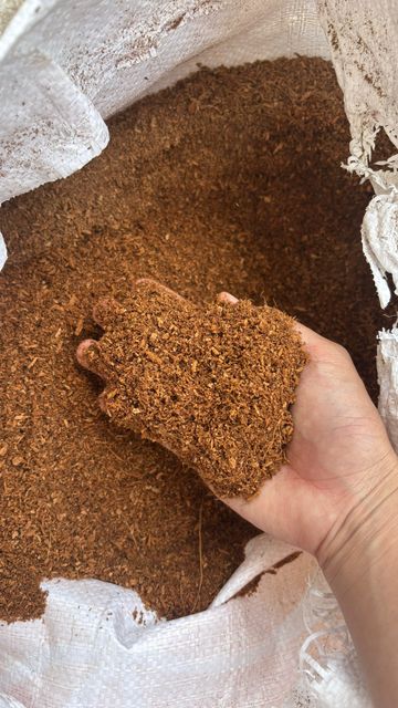 coco peat block / powder Aeration Good Dust Level Low Origin Indonesia Length Up to 80 cm Water Retention High Form Block, Powder, Bag - Image 3