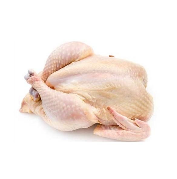 Top Selling Premium Grade High Quality Low Price Fresh Poultry Whole Frozen Chicken Meat From Brazil Quality Halal Whole Frozen Chicken Frozen Whole Halal Chicken And Chicken Parts From Brazil   High Quality HALAL Frozen Whole Chicken From Brazilian Wholesale Frozen Chicken Breast From Brazil - Image 4