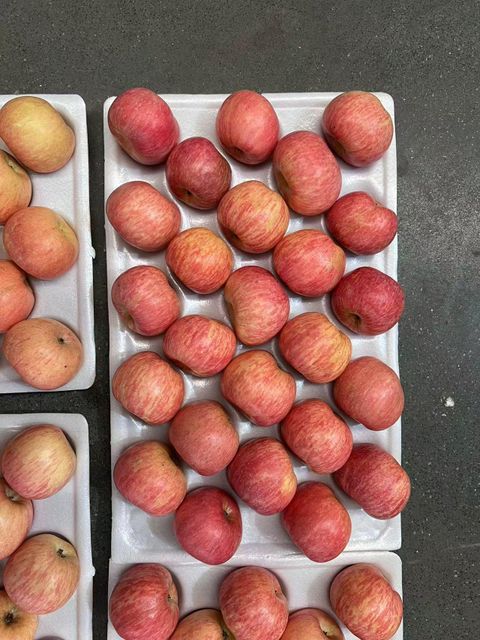 Chinese Fuji Apple - Image 3