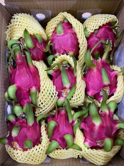 7 days Shell Life Red and Green Sweet Taste Red flesh/ White flesh Variety Dragon fruit Export From Vietnam - Image 4