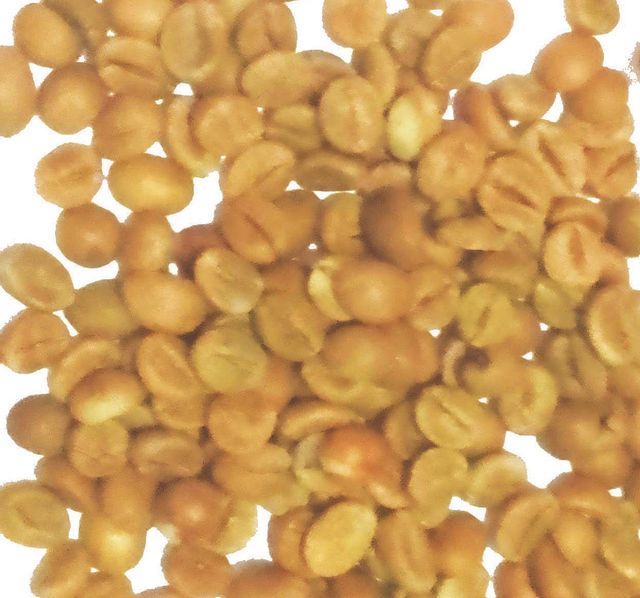 ARABICA COFFEE Bean Type Arabica Degree of Processing Raw - Image 1