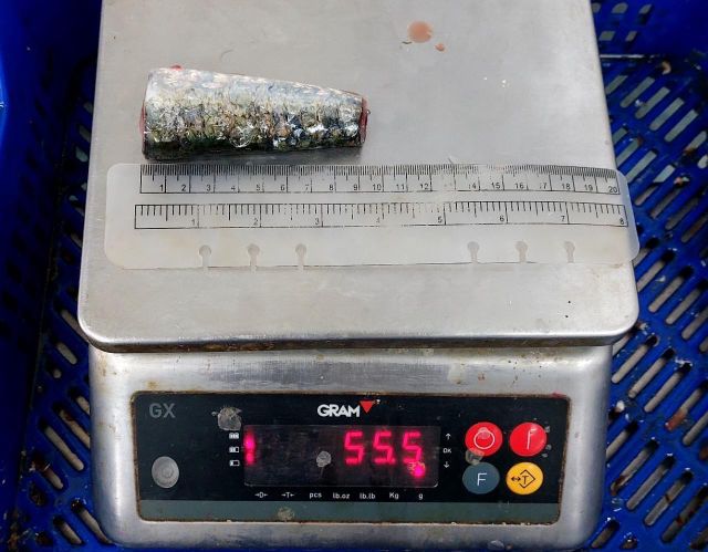 Frozen Sardines HGT - Image 3