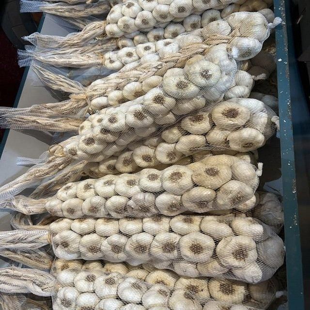 Farm Fresh Garlic Naturally Grown Premium Export Quality Healthy Vegetable for Grocery Chains Restaurants - Image 5