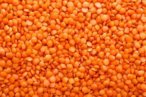 DRIED RED LENTILS  Red Lentils In White Background Stock Photo - Download Image Now ...Red Lentils - CookingHub How to Cook Red Lentils - Plus Recipe Tips - Milly Chino - Image 3