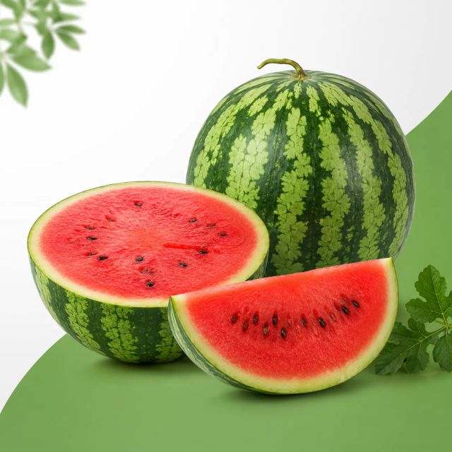 Watermelon Features Organic Form Whole Fruit Origin Indonesia Brix Level 10–13%% Technique Handpicked Grade Export Grade A - Image 2