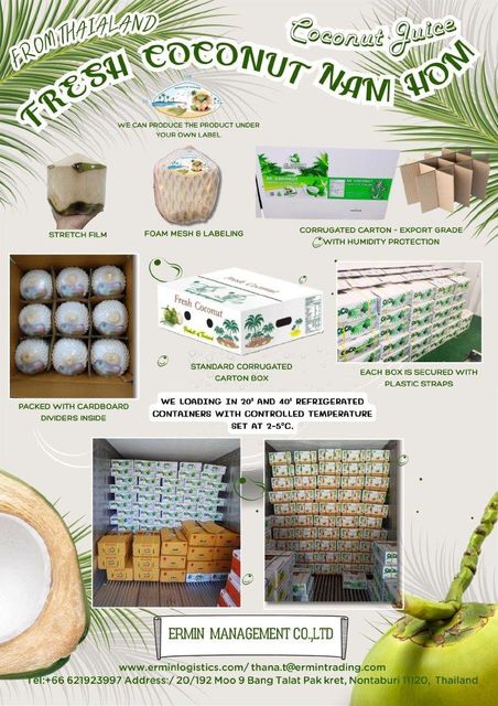 Fresh Coconut Brix Level 6-9° Brix Packaging 9 piece/carton box Weight Per Fruit 800–900 Grams Water Volume 300–350 Ml Per Nut - Image 2