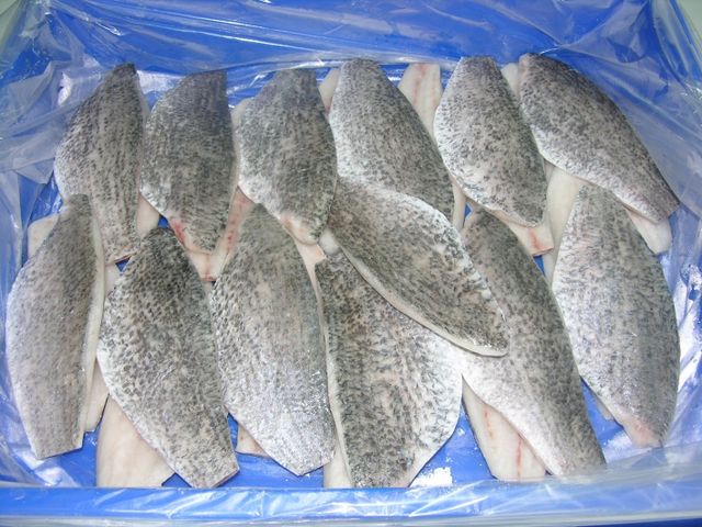 High Quality Special Price Natural Frozen Barramundi Fish From VietNam For Making Food - Image 3