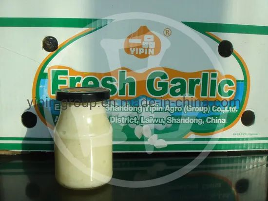 Jarred Packing Minced Garlic Paste for Baking Bread Using Style Paste HS Code 2005999100 Available All The Year Around Origin Shandong Province, - Image 1