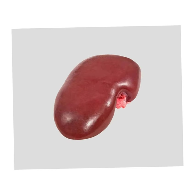 Frozen Pork Kidneys Premium Export Frozen Pork Kidneys For Global Meat Trade High Protein Pork Kidneys For Processing Industry Buyers - Image 4