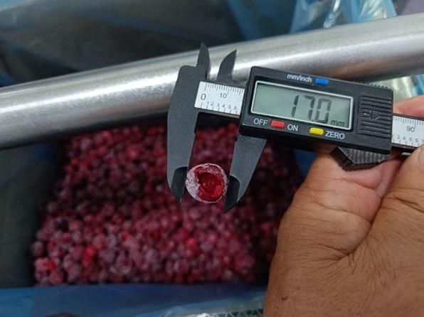 Frozen IQF Pitted Sour Cherry, Whole Individually Quick Frozen Cherries Without Pits, Bulk Wholesale, Uzbekistan – product photo 3, product detail gallery