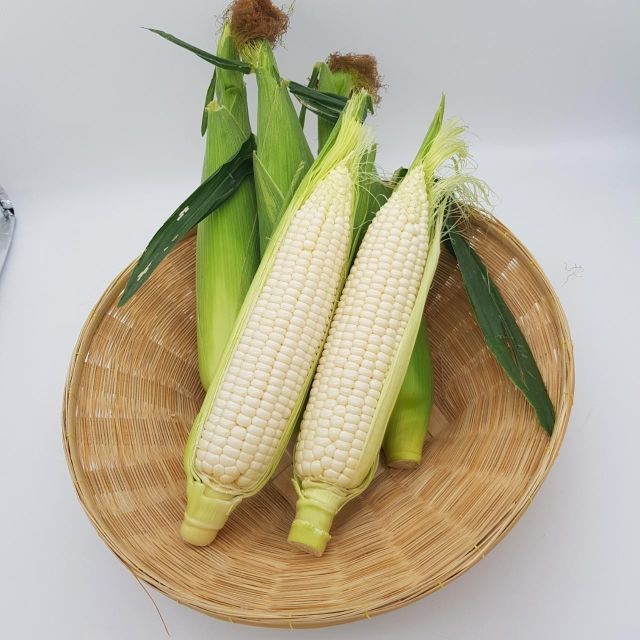 Organic White Corn Bulk Purchase White Corn With Minimal Moisture 100% Ideal For Milling And Food Industries - Image 4