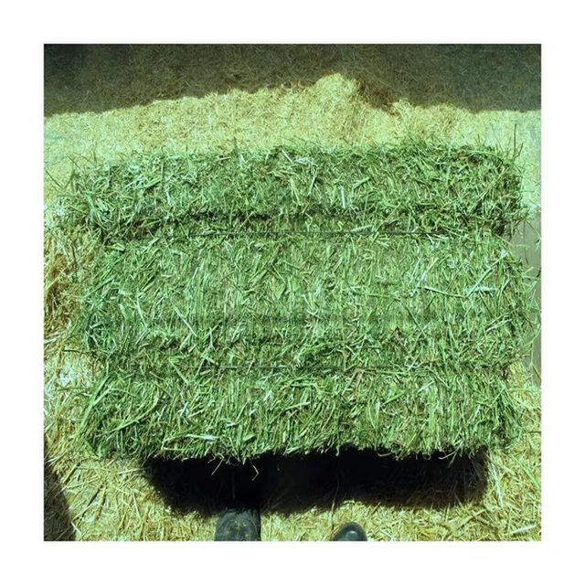 Premium Timothy Hay For Rabbits And Small Pets High Fiber Timothy Hay 100% Natural Fresh Green Hay For Daily Feeding - Image 4