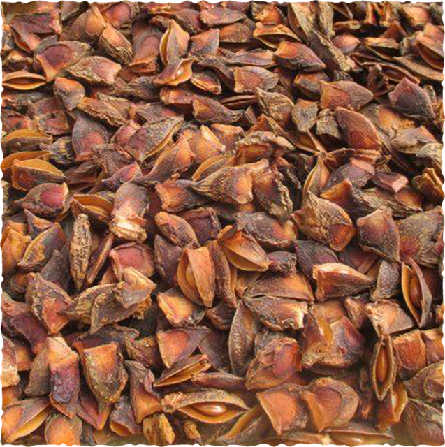 Broken Star Anise Place of Origin Vietnam Packaging 20-30kg PP-PE - Image 1