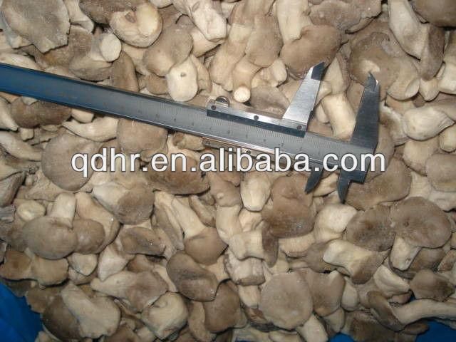 Frozen mushroom - Image 6