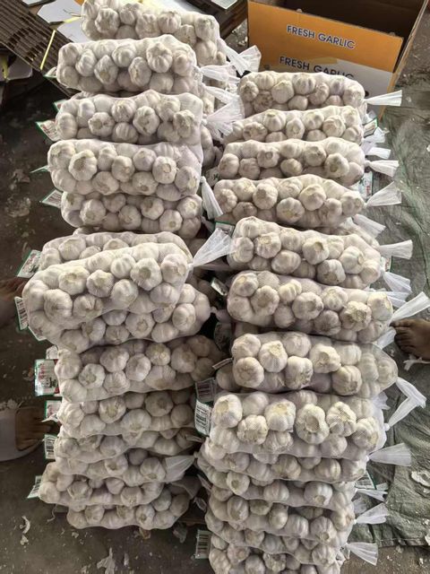 Premium Chinese Fresh White Garlic, Competitive Wholesale Price Direct from Origin - Image 3