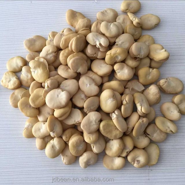 China Origin Peeled Split Fava Beans Dry Broad Bean Without Shell - Image 4