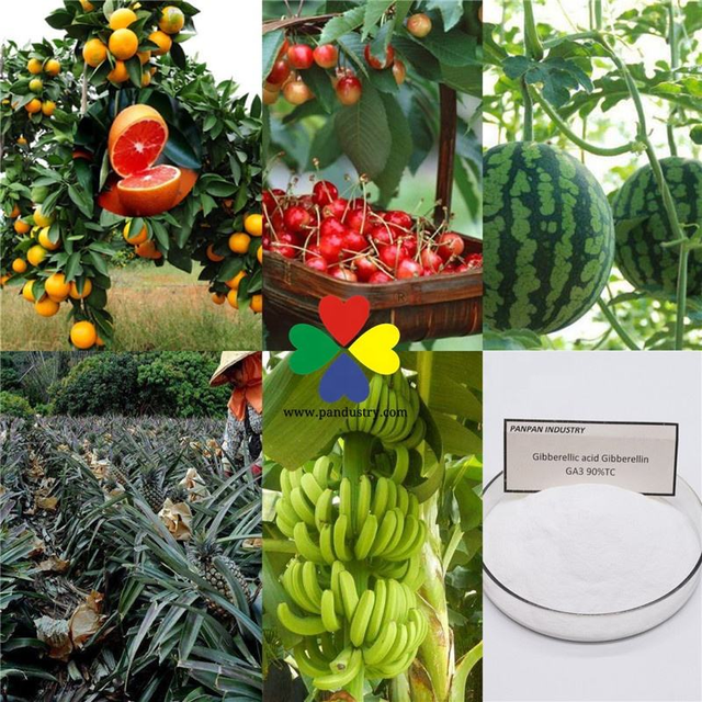 Plant Growth Regulator Chemicals Gibberellic Acid GA3 90%TC Potent Plant Growth Enhancer - Image 2
