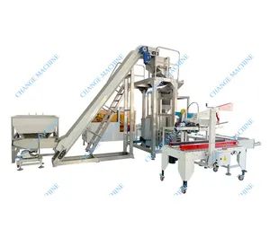 1kg-25kg Nails Screws Nuts Fasteners Boxes Cartons Packing Production Line - Image 5