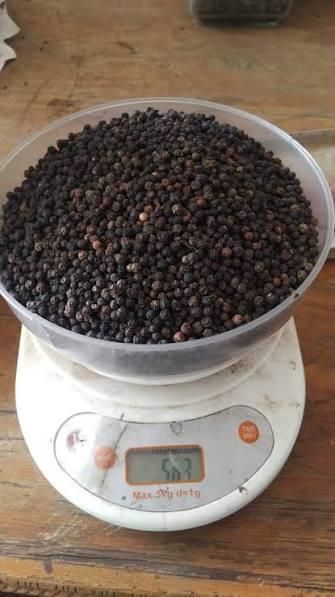 Black/white Pepper 550Gl/ 500Gl Black Pepper Grade AA Place of Origin - Image 4