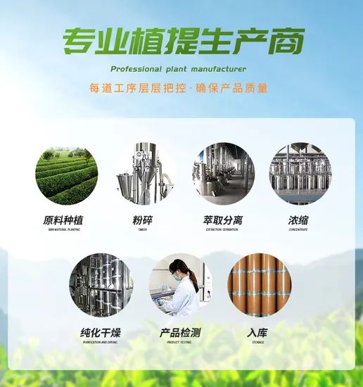 Natural Herbal Extract Spray Dried Tangerine Peel Extract Powder - Image 6