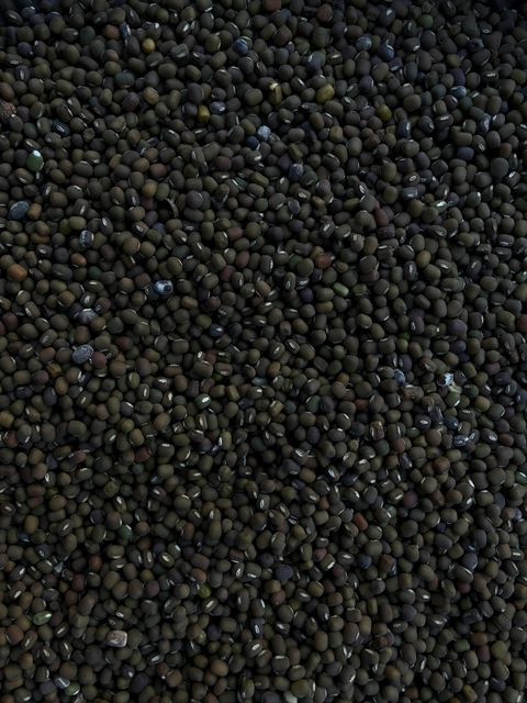Whole Black Gram (Sabut Urad) - Image 1