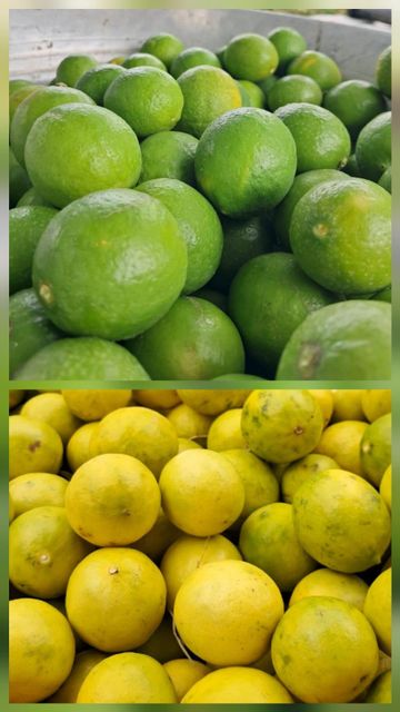 FRESH LEMON Organic Yes - Image 2