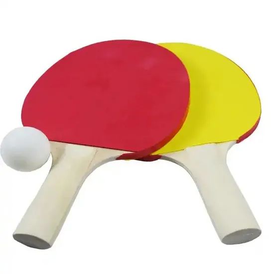 Training Durable Ping Pong Racket Set with Net - Image 2