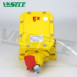 Explosion Proof Tear Switch Ex-Vkdhzl 24-380AC/DC Automatic Reset 2 Micro Switch - Image 6