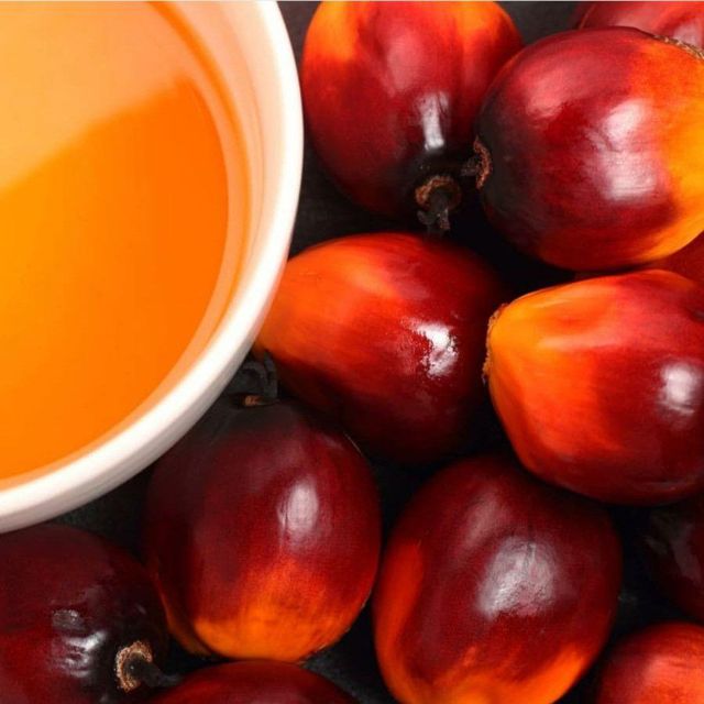 Refined Edible Palm Oil for Large Volume Food Manufacturing and Commercial Kitchen Processing - Image 3