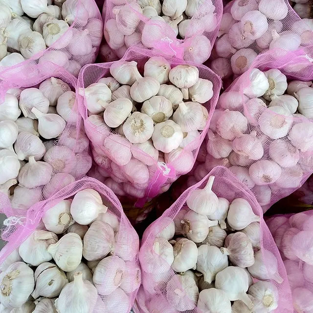 Fresh White Garlic - Image 2