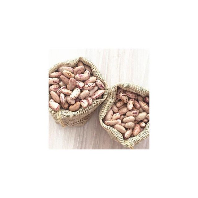 Premium grade sugar beans for wholesale food supply and processing - Image 3
