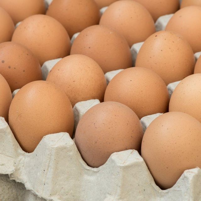 Fresh Table Eggs Produced From Free Range Hens High Quality Table Eggs Packed With Natural Goodness - Image 5