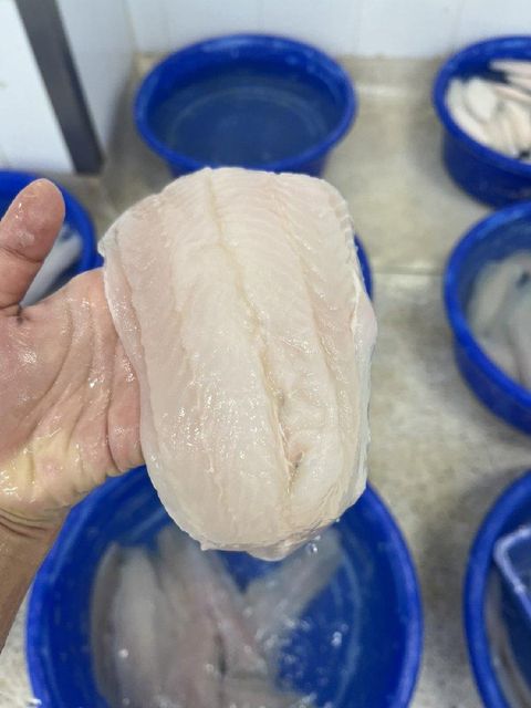 Frozen Pangasius Fillet 220-400 Size 9-12oz Net Weight - Image 4