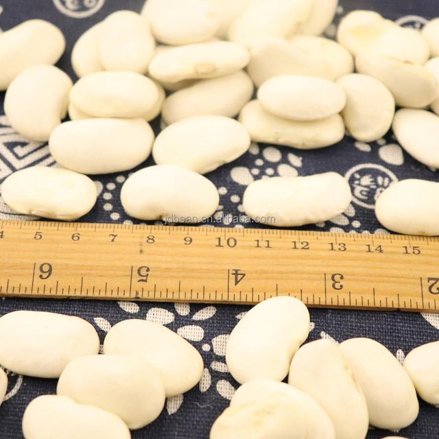 Wholesale 40pcs 50pcs 100g Large Size White Kidney Beans Butter Beans - Image 4