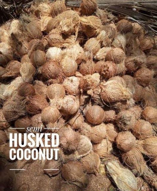 Semi Husked Coconut Type 2 Origin Vietnam Purity Pesticide-free Shelf Life Up To 60 Days Storage Temperature 7°c – 12°c Scientific Name Cocos - Image 3