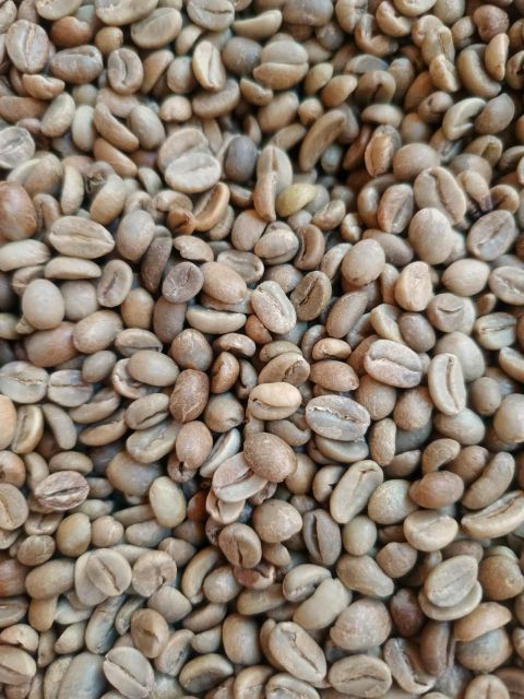 premium Indonesian Green Bean Coffee - Image 4